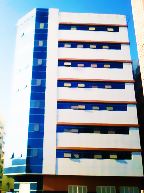 Ibn sina hospital
